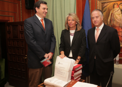 plenomarbellapresupuestos