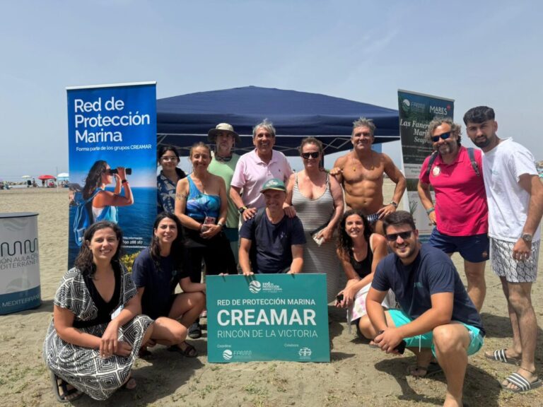 Rincón de la Victoria celebra jornada de sensibilización marina en Acantilados de El Cantal Rincón de la Victoria celebra jornada de sensibilización marina en Acantilados de El Cantal