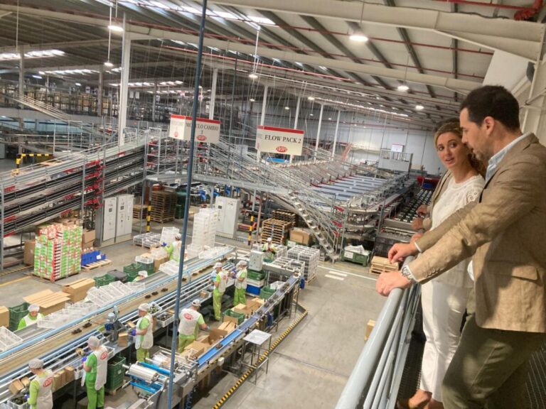 Diputación de Málaga organiza talleres sobre inteligencia artificial en agricultura, pymes y turismo Diputación de Málaga organiza talleres sobre inteligencia artificial en agricultura, pymes y turismo