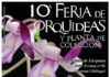 El Orquidario de Estepona celebra la X Feria de Orquídeas los días 8 y 9 de noviembre