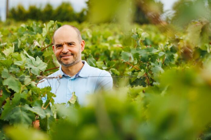 Bodegas Faustino alcanza su noveno año consecutivo entre las 50 marcas de vino más admiradas del mundo