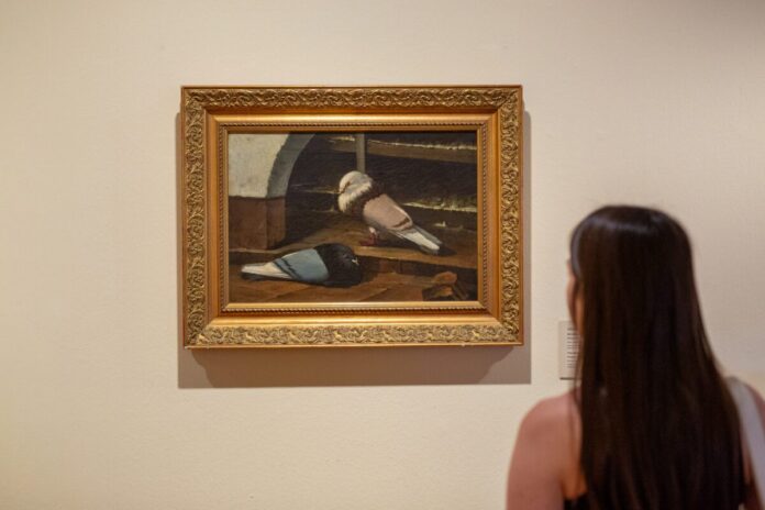 Málaga incorpora al Museo Casa Natal Picasso una pintura de palomas de José Ruiz Blasco de 1838