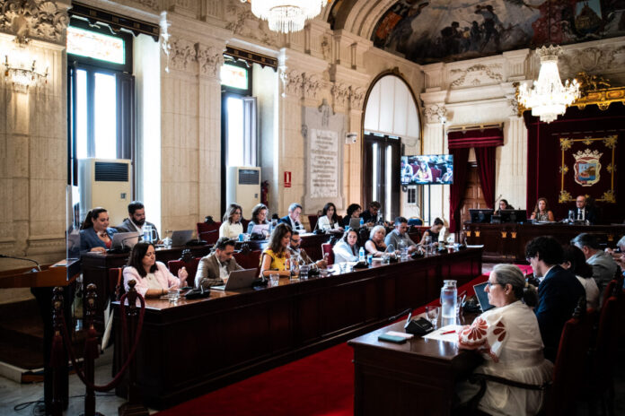 El Plan General de Málaga limita el uso de hospedaje como alternativa automática a la vivienda residencial